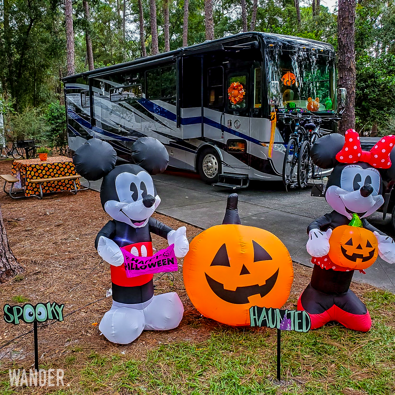 Read more about the article Disney’s Fort Wilderness