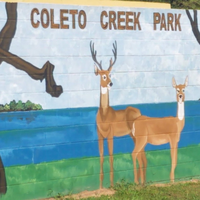 Read more about the article Coleto Creek Park
